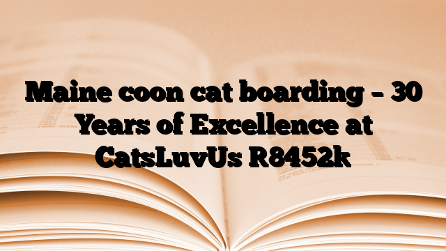 Maine coon cat boarding – 30 Years of Excellence at CatsLuvUs