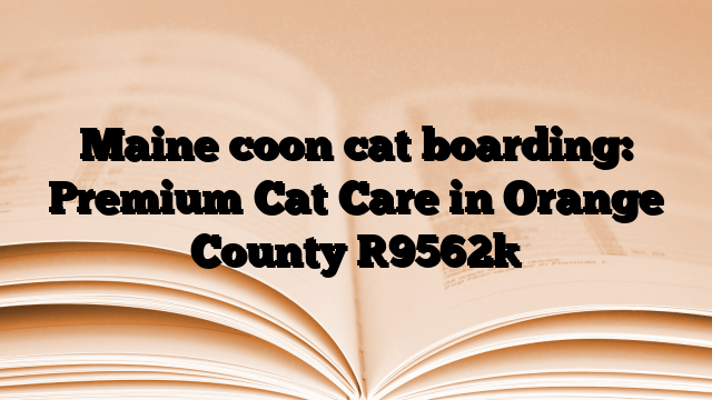 Maine coon cat boarding: Premium Cat Care in Orange County
