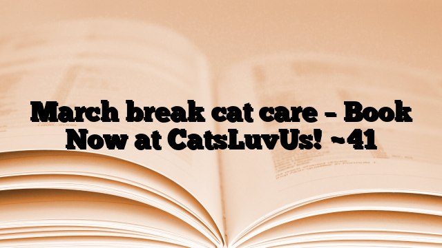 March break cat care – Book Now at CatsLuvUs!