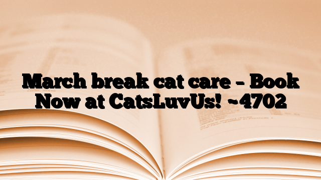 March break cat care – Book Now at CatsLuvUs!