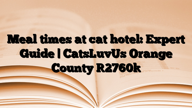 Meal times at cat hotel: Expert Guide | CatsLuvUs Orange County