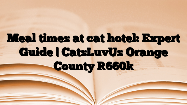 Meal times at cat hotel: Expert Guide | CatsLuvUs Orange County