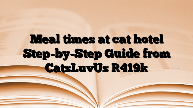 Meal times at cat hotel Step-by-Step Guide from CatsLuvUs