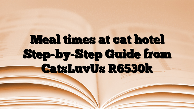 Meal times at cat hotel Step-by-Step Guide from CatsLuvUs
