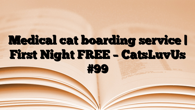 Medical cat boarding service | First Night FREE – CatsLuvUs