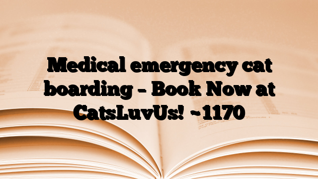 Medical emergency cat boarding – Book Now at CatsLuvUs!