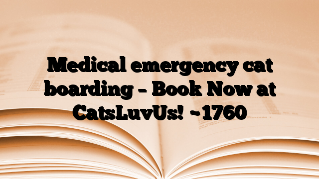 Medical emergency cat boarding – Book Now at CatsLuvUs!