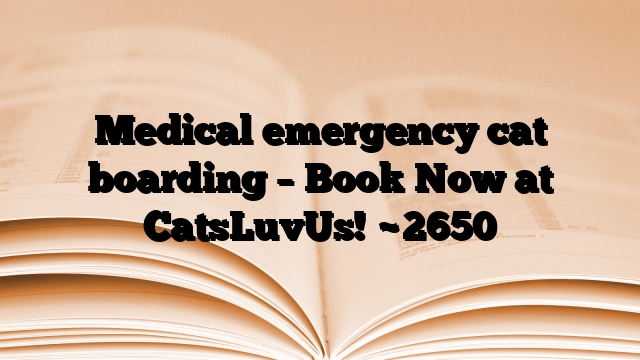 Medical emergency cat boarding – Book Now at CatsLuvUs!