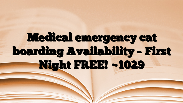 Medical emergency cat boarding Availability – First Night FREE!