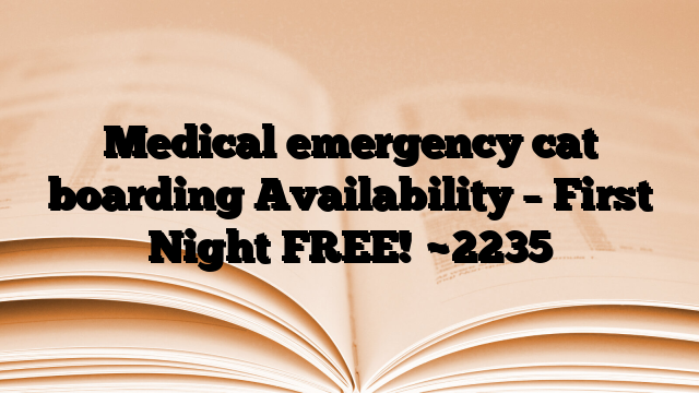 Medical emergency cat boarding Availability – First Night FREE!