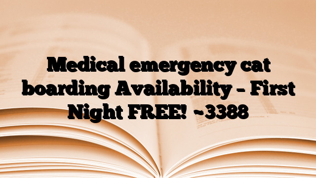 Medical emergency cat boarding Availability – First Night FREE!