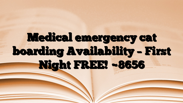 Medical emergency cat boarding Availability – First Night FREE!
