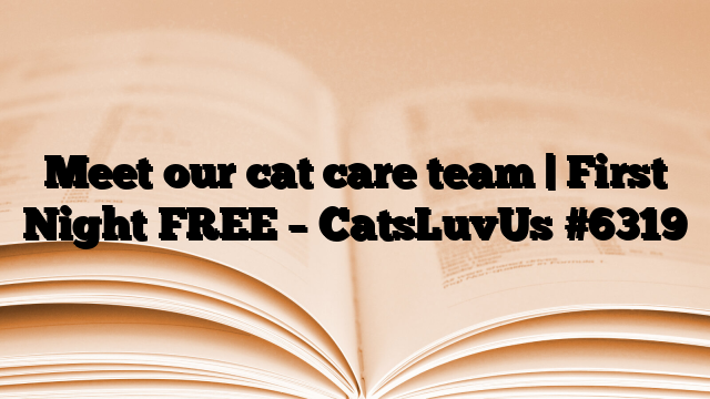 Meet our cat care team | First Night FREE – CatsLuvUs