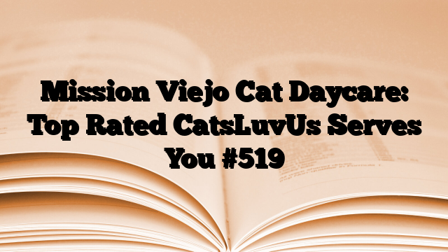 Mission Viejo Cat Daycare: Top Rated CatsLuvUs Serves You