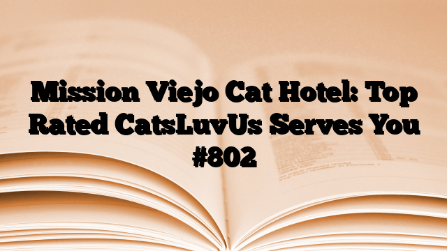 Mission Viejo Cat Hotel: Top Rated CatsLuvUs Serves You