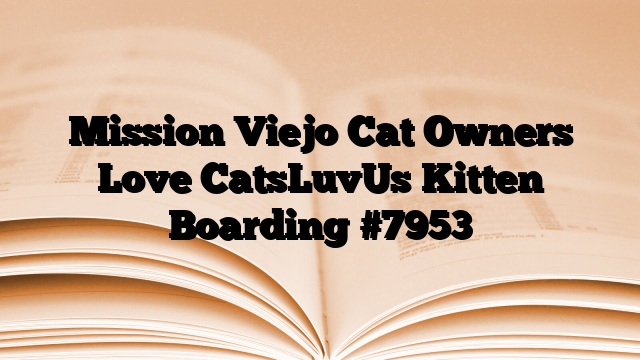 Mission Viejo Cat Owners Love CatsLuvUs Kitten Boarding