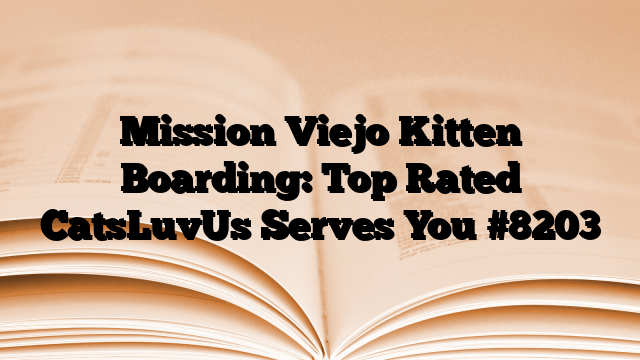 Mission Viejo Kitten Boarding: Top Rated CatsLuvUs Serves You