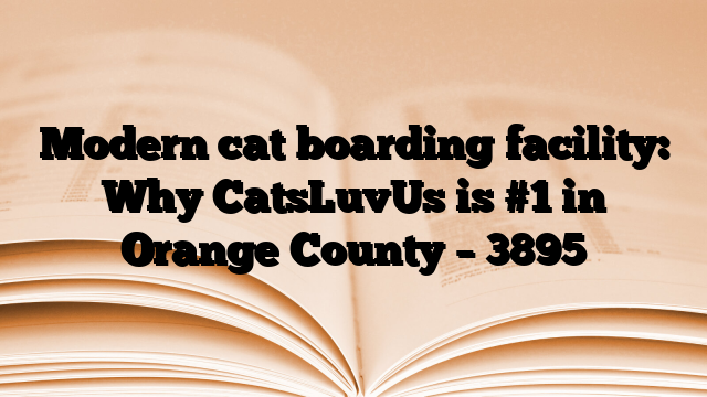 Modern cat boarding facility: Why CatsLuvUs is #1 in Orange County