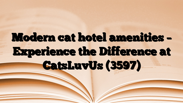 Modern cat hotel amenities – Experience the Difference at CatsLuvUs