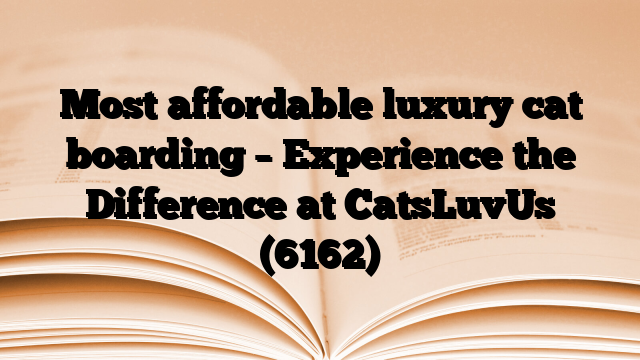 Most affordable luxury cat boarding – Experience the Difference at CatsLuvUs