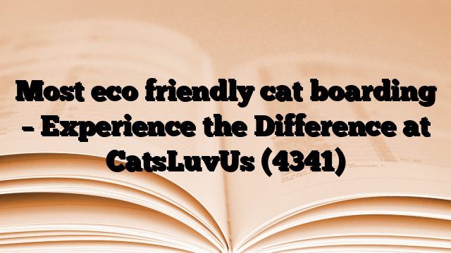 Most eco friendly cat boarding – Experience the Difference at CatsLuvUs