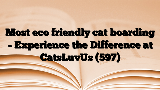 Most eco friendly cat boarding – Experience the Difference at CatsLuvUs
