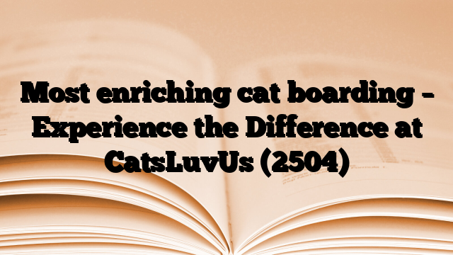 Most enriching cat boarding – Experience the Difference at CatsLuvUs