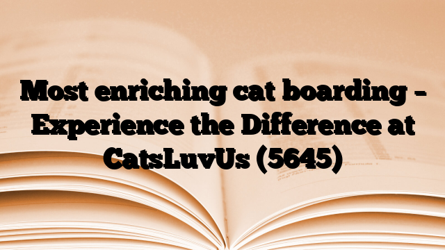 Most enriching cat boarding – Experience the Difference at CatsLuvUs