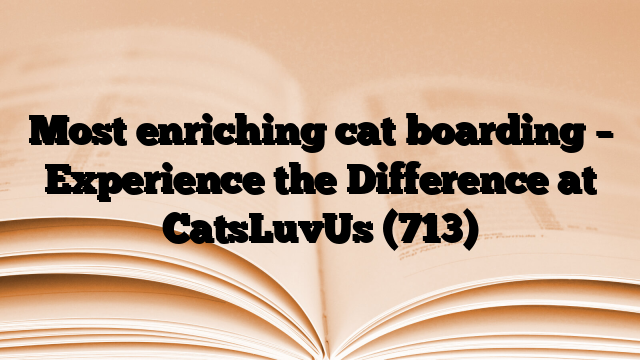 Most enriching cat boarding – Experience the Difference at CatsLuvUs