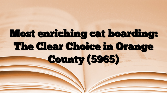 Most enriching cat boarding: The Clear Choice in Orange County