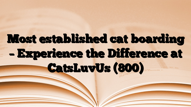 Most established cat boarding – Experience the Difference at CatsLuvUs