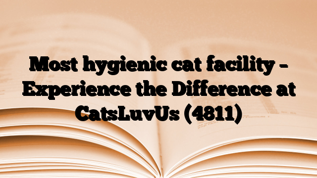 Most hygienic cat facility – Experience the Difference at CatsLuvUs