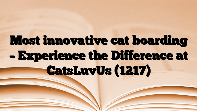 Most innovative cat boarding – Experience the Difference at CatsLuvUs