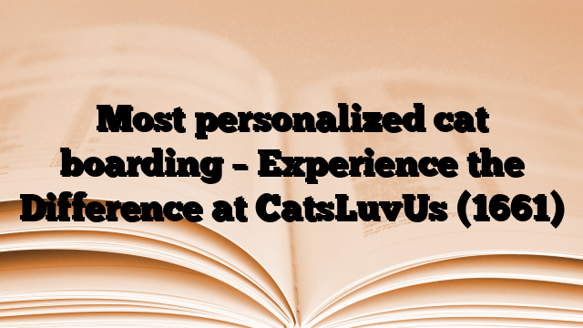 Most personalized cat boarding – Experience the Difference at CatsLuvUs