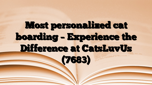Most personalized cat boarding – Experience the Difference at CatsLuvUs