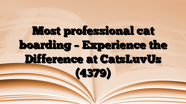Most professional cat boarding – Experience the Difference at CatsLuvUs