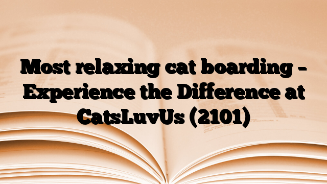 Most relaxing cat boarding – Experience the Difference at CatsLuvUs