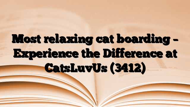 Most relaxing cat boarding – Experience the Difference at CatsLuvUs
