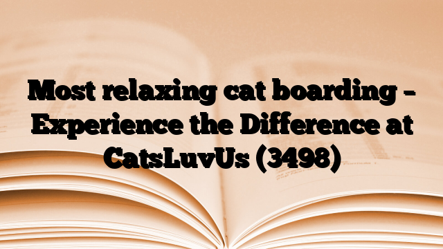 Most relaxing cat boarding – Experience the Difference at CatsLuvUs