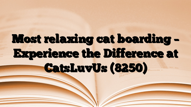 Most relaxing cat boarding – Experience the Difference at CatsLuvUs