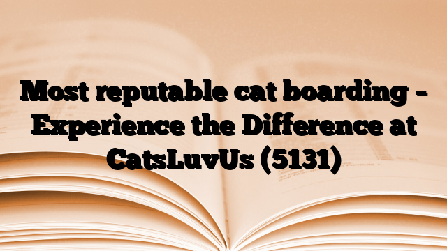 Most reputable cat boarding – Experience the Difference at CatsLuvUs