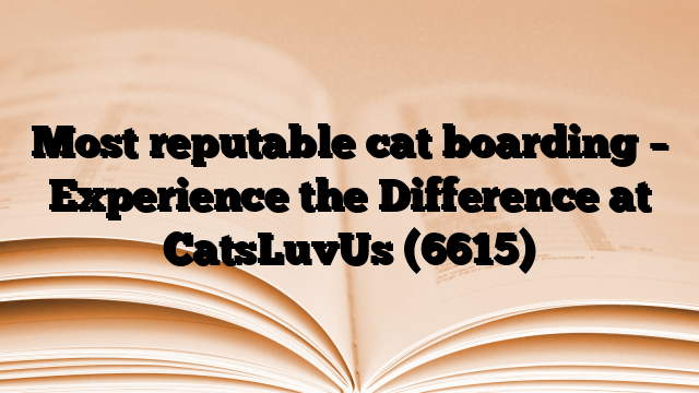 Most reputable cat boarding – Experience the Difference at CatsLuvUs
