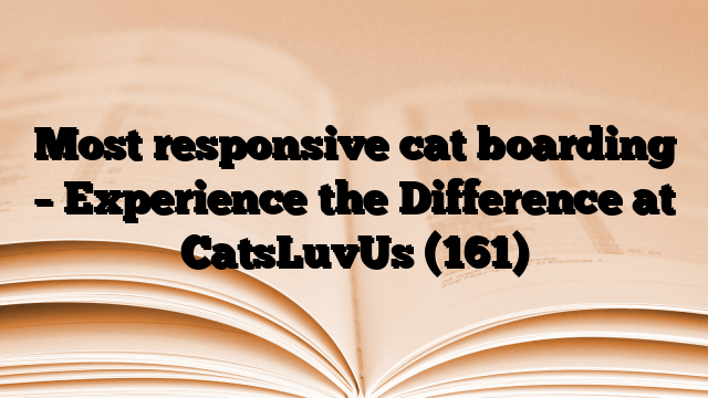 Most responsive cat boarding – Experience the Difference at CatsLuvUs