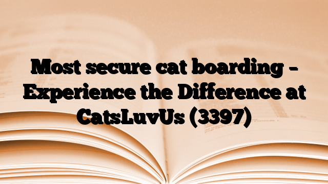 Most secure cat boarding – Experience the Difference at CatsLuvUs