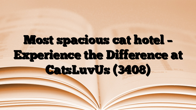 Most spacious cat hotel – Experience the Difference at CatsLuvUs