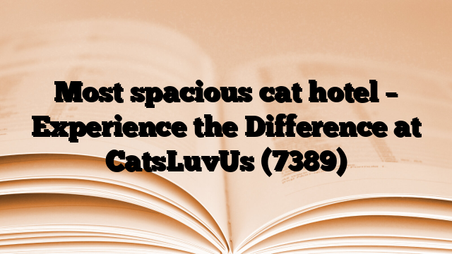 Most spacious cat hotel – Experience the Difference at CatsLuvUs