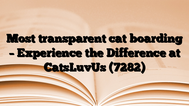Most transparent cat boarding – Experience the Difference at CatsLuvUs