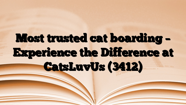 Most trusted cat boarding – Experience the Difference at CatsLuvUs
