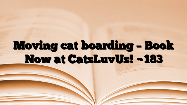 Moving cat boarding – Book Now at CatsLuvUs!