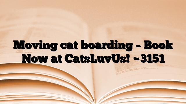 Moving cat boarding – Book Now at CatsLuvUs!